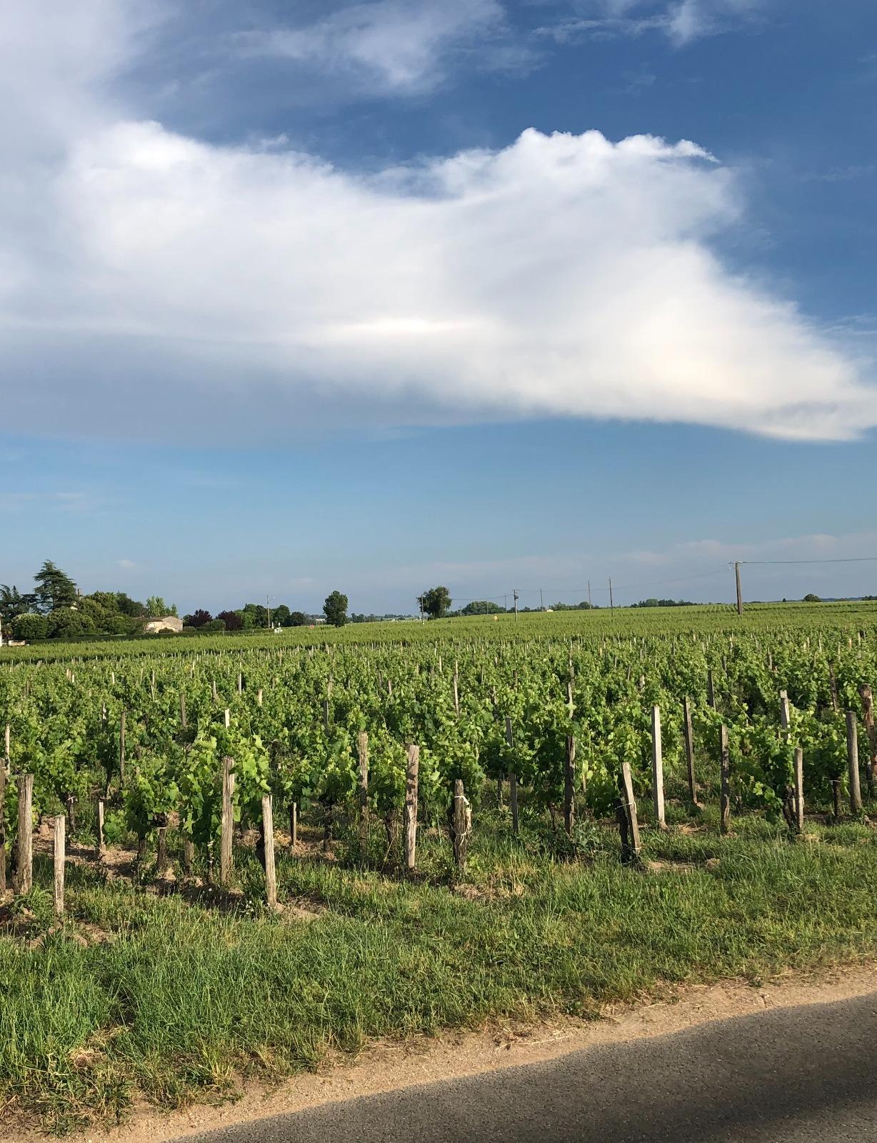 Agricultural Property à Pomerol