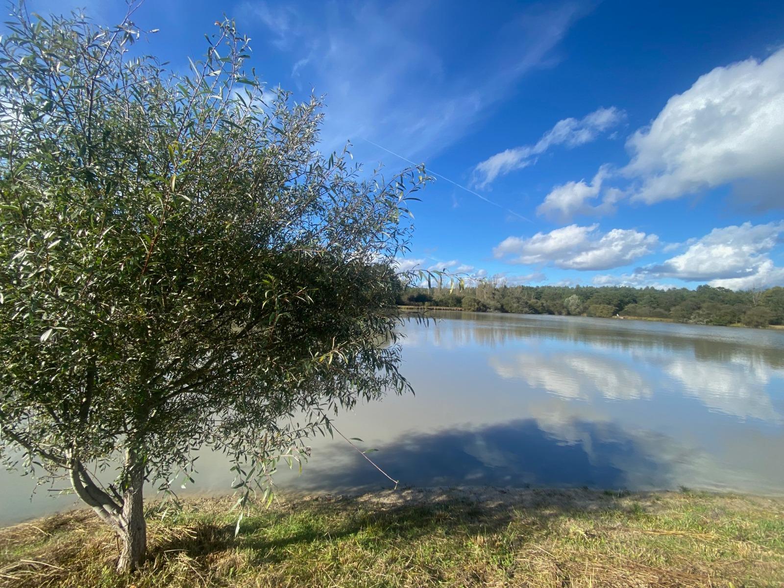 Leisure Land / Woods / Pond à Neung-sur-Beuvron