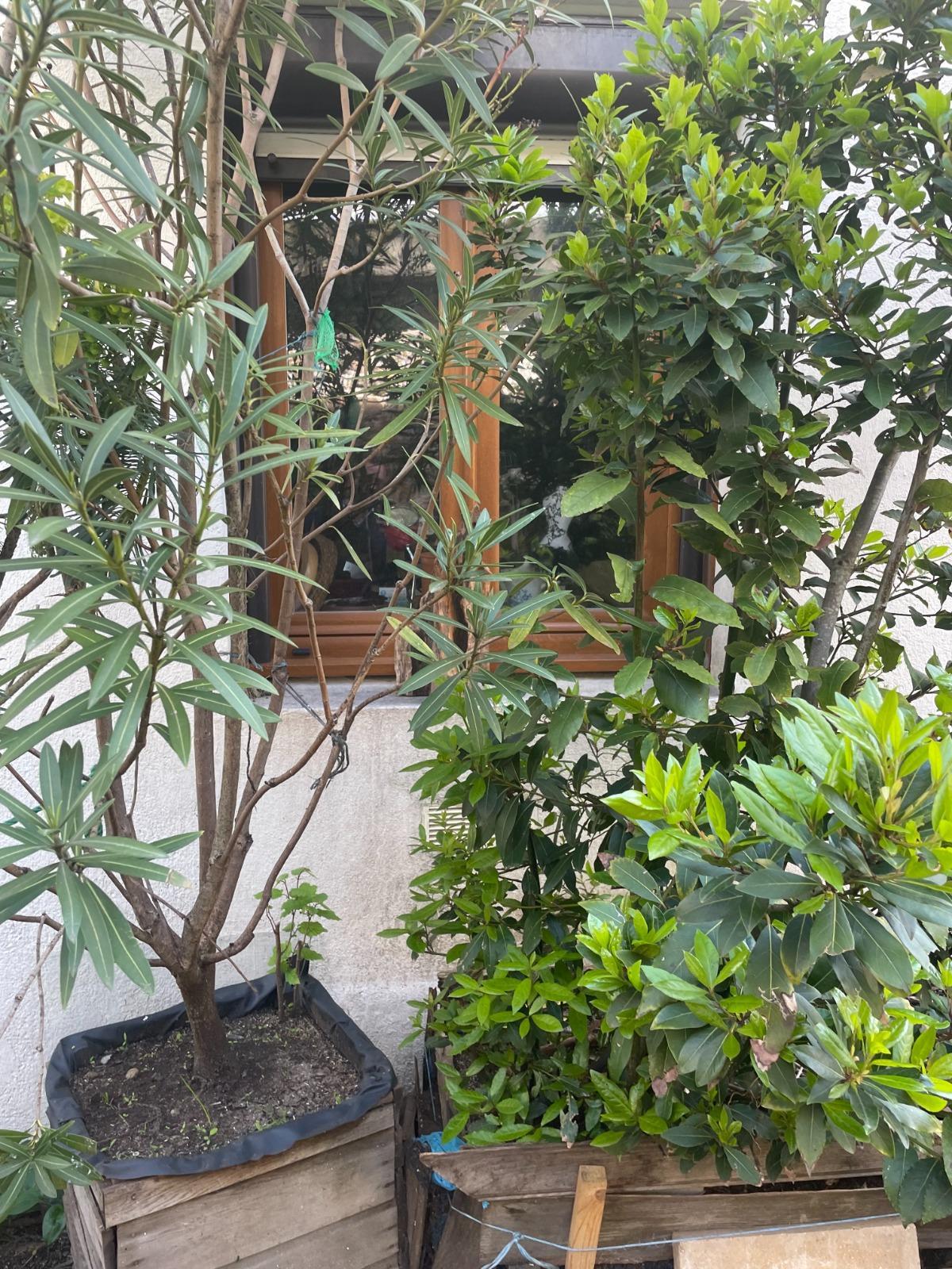 Apartment à Nantes