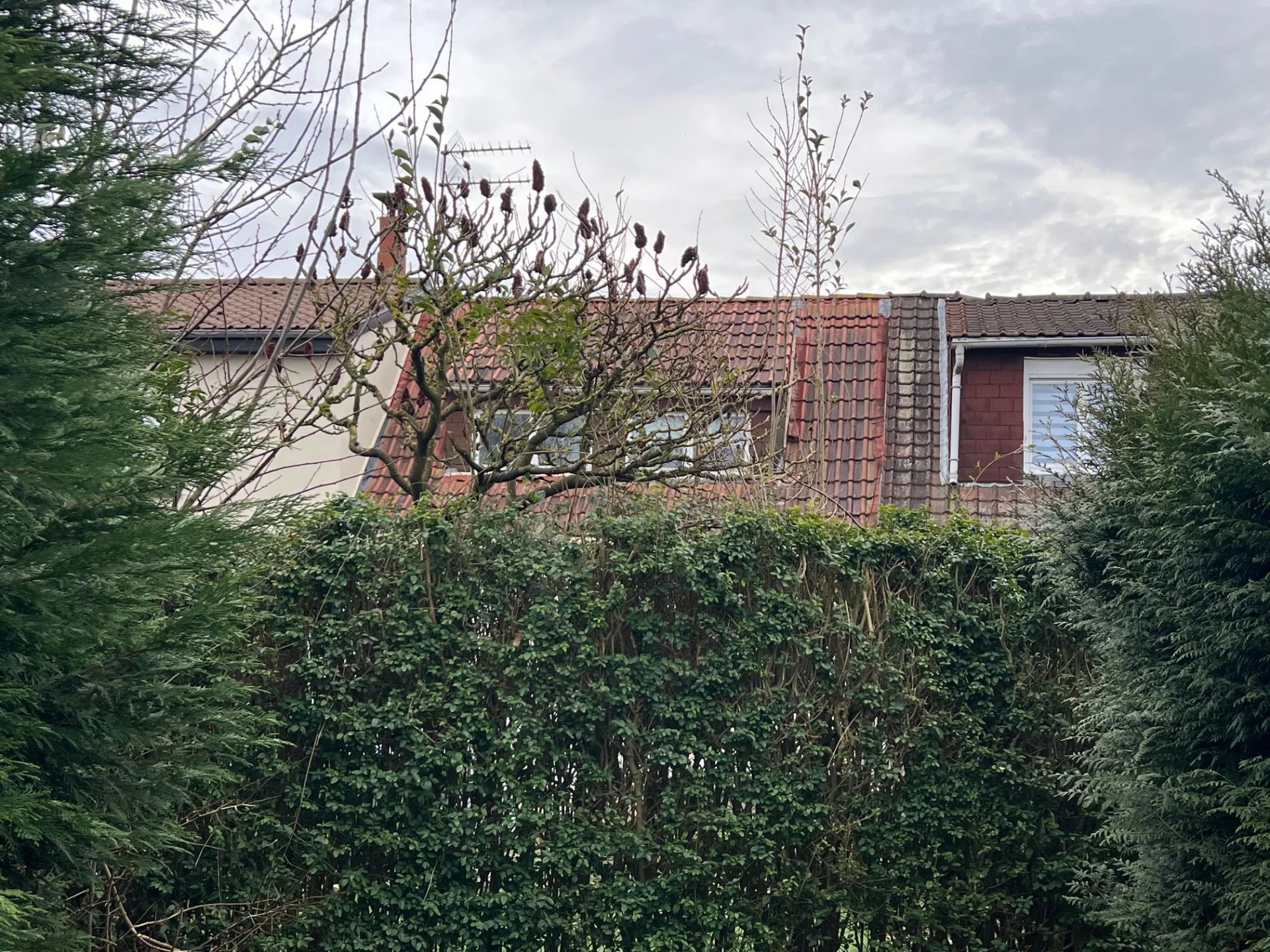 House à Leers — vignette 5