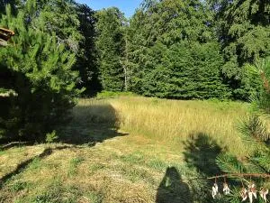 House à Chantraine — vignette 3