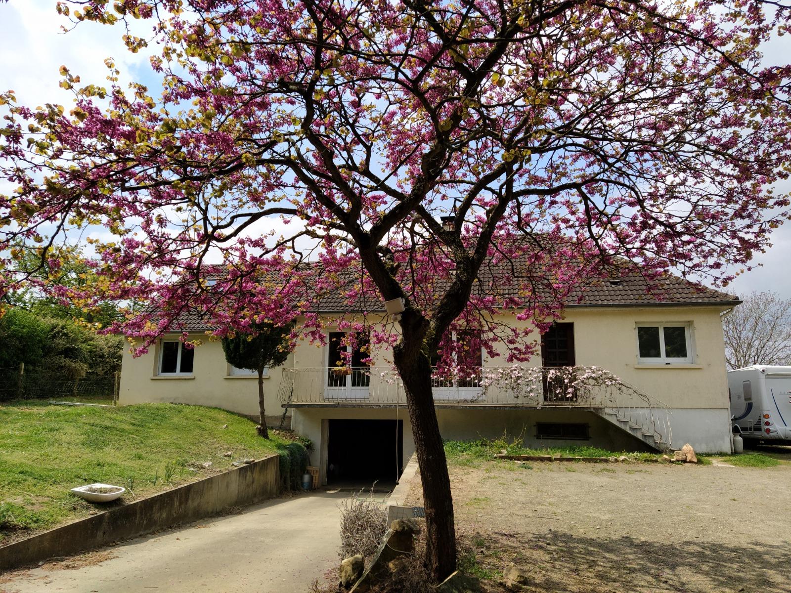 Maison à Coulaines