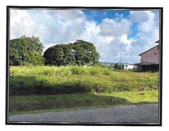 Terrain à Bâtir à Cayenne
