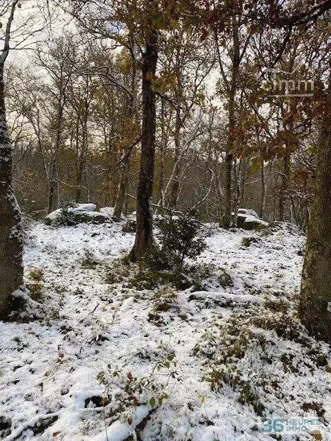 Terrain de Loisirs – Bois - Étang à Saint-Germain-de-Modéon