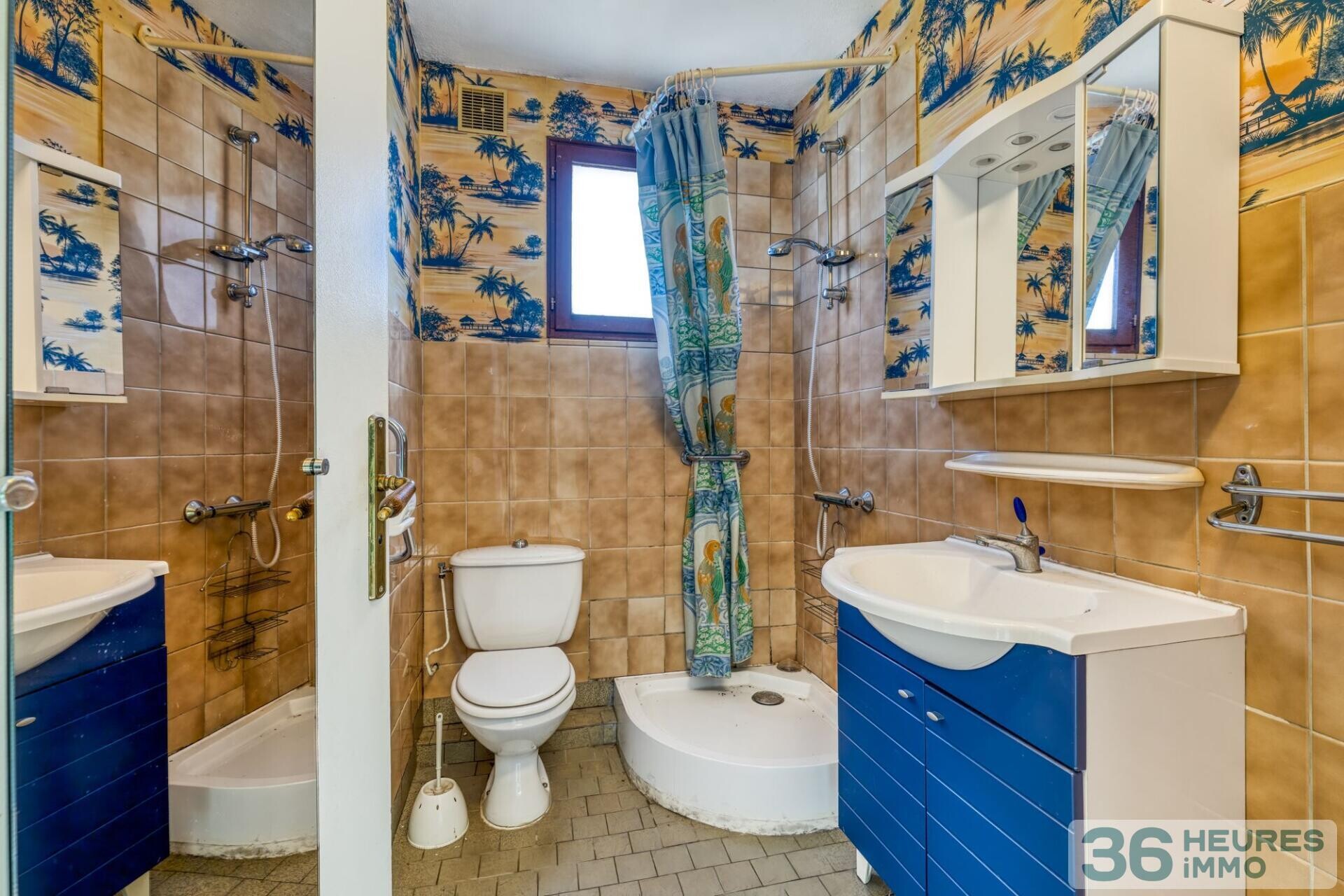 Maison avec grand terrain